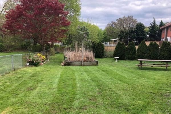 A freshly mowed back yard with several obstacles. Susquehanna Lawn Care has properly trimmed around all obstacles giving the yard a neat appearance. 