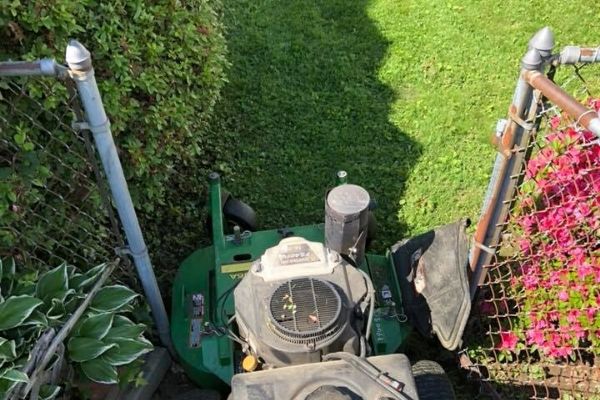 A small compact mower being pushed through the gate of a fenced in back yard.