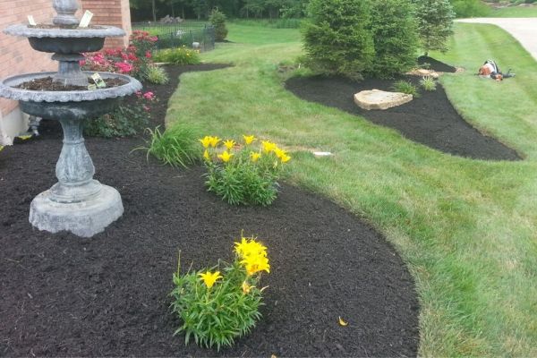 Several landscape beds that have been top dressed with fresh mulch. 