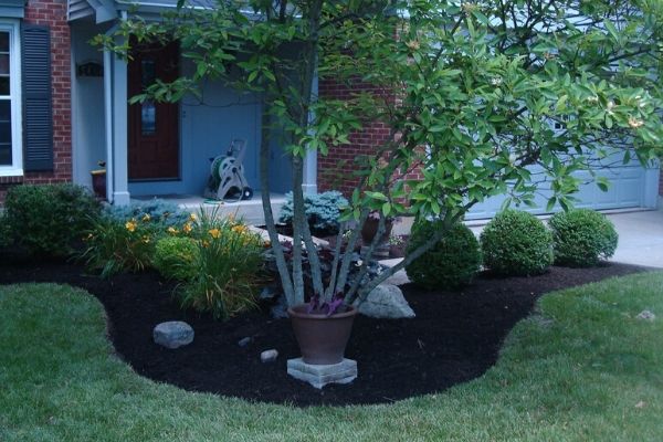 A large landscape bed filled with small shrubs, seasonal flowers, and a small tree. The mulch in the landscape bed has been refreshed and the shrubs have been neatly pruned by Susquehanna Lawn Care.